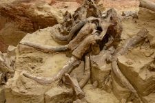 Mammoth Site SD