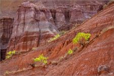 Palo Duro Canyon-Texas