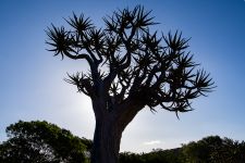 Ramskop Natur Reservat