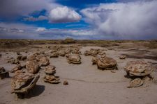 Bisti -NM