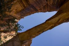 Escalante Natural Bridge